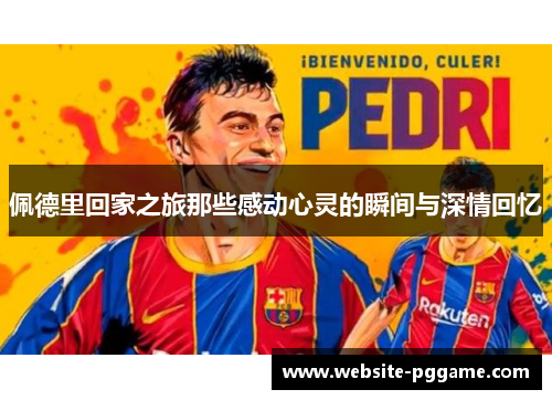 佩德里回家之旅那些感动心灵的瞬间与深情回忆
